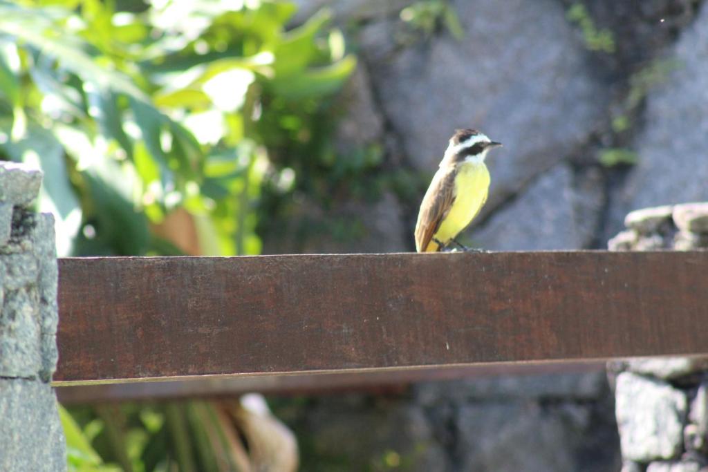 Casa da Uba Una room 2